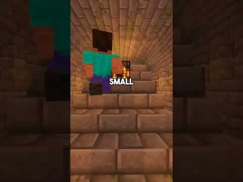 Minecraft's RAREST Coincidence!