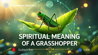 Spiritual Meaning of a Grasshopper: Luck, Leap of Faith & Transformation