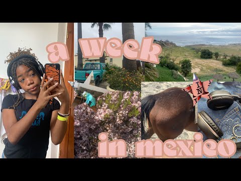 spring week in my life ☆ a spontaneous trip to mexico