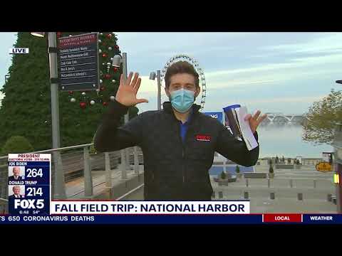 nh media sizzle