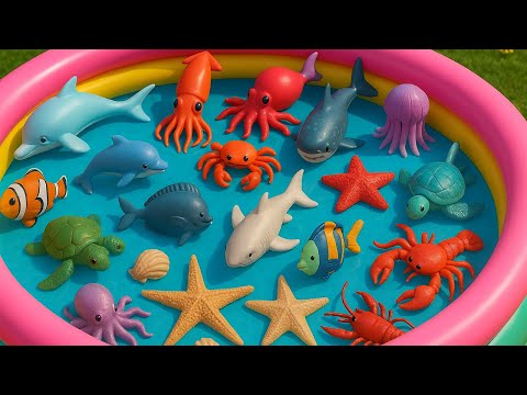 Learn Sea Animal Names and Facts with Fun Toys | Sea Animals for Kids