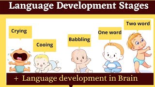 language development stages in childhood | babbling cooing