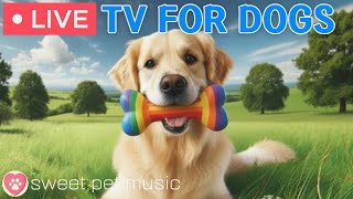 🔴24 Hours of Dog TV🎵🐶Calming Music for Dog Sleep🐾🩷Soothing Music for Dogs with Stress and Anxiety