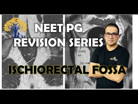 NEET PG SERIES- ISCHIORECTAL FOSSA