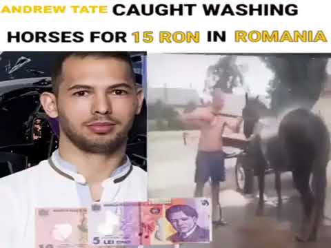 andrew tate caught washing horses!!!!1!!!11111