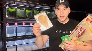 10-Gallon Fish Tank Setup – Beginner’s Guide to an EPIC Aquarium! $200 Build!