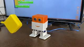 Edubot