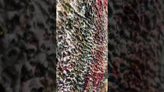 Closeup of my easel. It has mountain ranges. #art #artist #artistlife #acrylicpaint #landscape