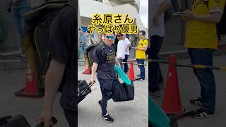 【阪神タイガース】糸原選手、子どもにはやっぱり優しい… #糸原 #阪神 #キャンプ #shorts