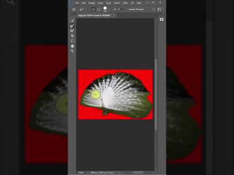 How to cut out difficult object in Adobe Photoshope