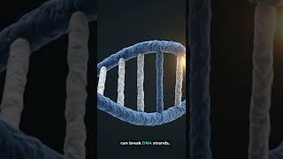 🤯 How Radiation ATTACKS Your Cells! 🧬 #WarpedScience #QuickScience #Radioactivity #DNA