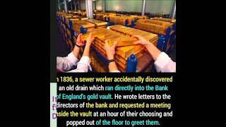 Did You Know Facts #knowledgefacts #facts #knowledgevlogger #knowledgequest #didyouknow #funfacts