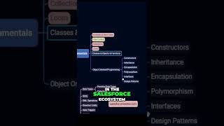 Super important programming OOP concepts