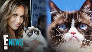 Remembering Grumpy Cat & All Her Celeb Friends | E! News