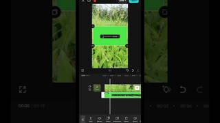 How to Add YouTube Subscribe Button in CapCut | CapCut Subscribe Button Tutorial