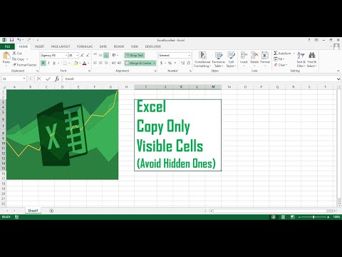 Copy Visible Cells Only (Excel Tutorial) - explained in (Urdu/Hindi)