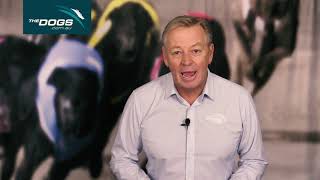 TheDogs.com.au Week In Review with Mark Duclos 12072021