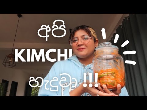 සිංහල Vlog | Kimchi | Grocery Shopping | Car talk