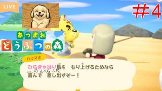 【オンラインゲーム実況配信】超まったりどうぶつの森#4　海女さん体験とお店のための材料集め！みんないい人過ぎて幸せです。