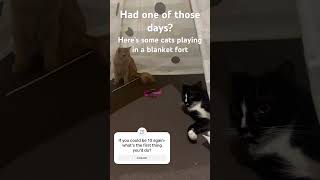 When you’re done with adulting. #baddayatwork   #catsofyoutube