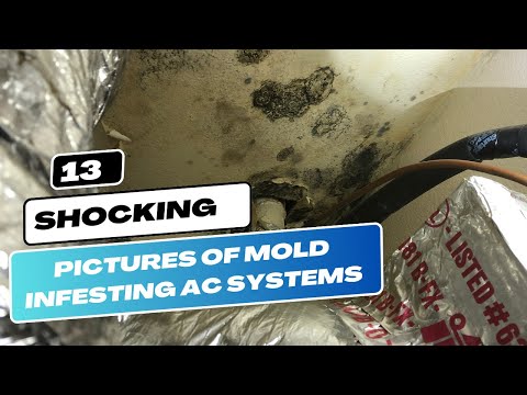 Pictures of Mold: Mold in HVAC!