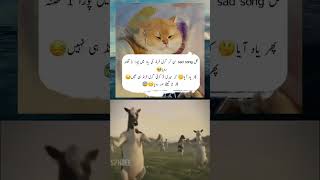 Happy valentine day #valentinedaystatus #funny #valentinesday #valentinespecial