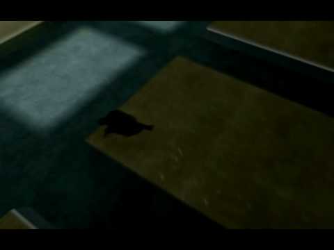 CS: oTcHeTo - 256 LJ (Previous WR) - by FoF
