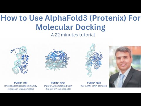 How to Perform Molecular Docking with AlphaFold3: Protenix