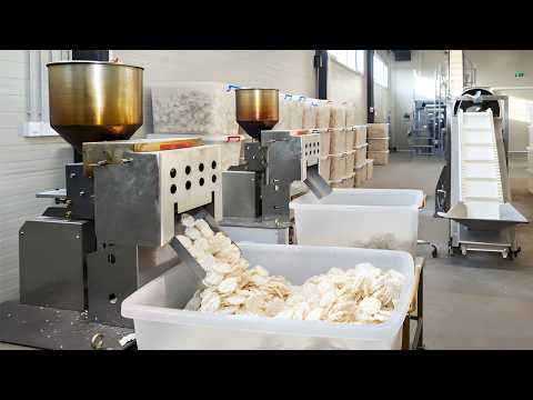 10 Low investment Machines You Can’t Fail With in 2025