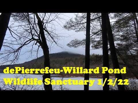 Willard Pond Hike 1/2/22 Antrim, NH