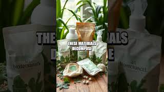 Innovative Eco-Friendly Packaging Alternatives
