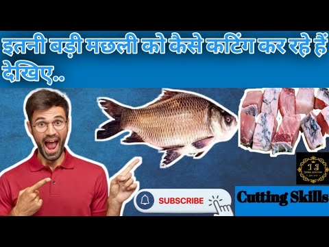कतला मछली की कैसे यूनिक तरीके से कटाई की जा रही है