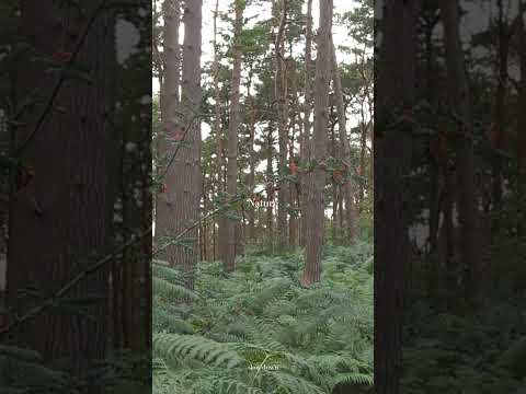 Get Ready to Relax in Just 10 Seconds with This #SlowLiving Hack!