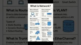 What Is A Network!!! ✨✨