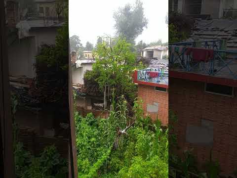 सुबह-सुबह की जोरदार बारिश लगी है 🤯🤯🤯