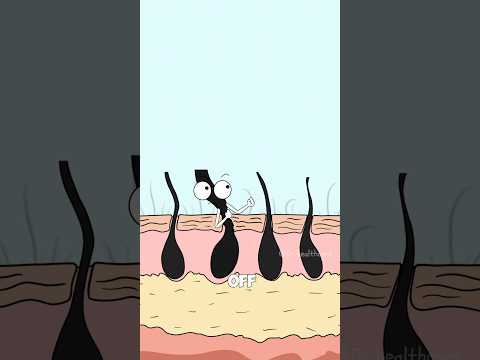 What Really Happens After You Shave🤨?