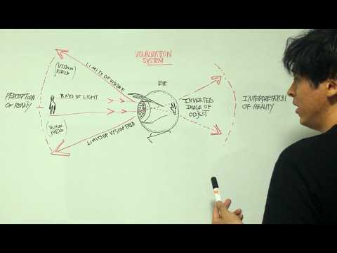 How to Build a Visualization System To Shift Reality