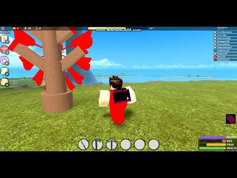 Playing booga booga with my friend(roblox)