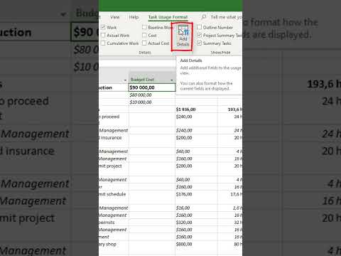 How to plan a budget by period in MS Project Pro?  #msproject #oberemokii #microsoftproject
