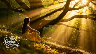 'Secret Garden' - Melodic Progressive House Mix