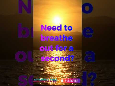Deep Relax Sleep Study Ambient Synthwave • No Ads • 24/7 Stream | Serene Horizon — Echoflowww