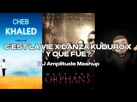 C'est La Vie X Danza Kuduro X Y Que Fue? [DJ Amplitude Mashup]