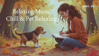 Guitar Wellness Music – Meditation, Sleep & Pet Relaxation