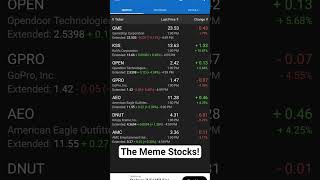 The Meme Stocks