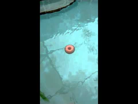Tits-3789839259769804530.mp4