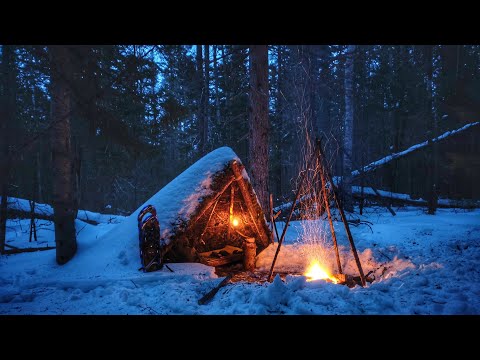 Bushcraft Trip - Solo Winter Overnighter, Primitive Shelter, Wind Snow, Survival, Extreme Cold