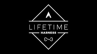 How to fit the Lifetime Harness® | Atlas Pet Company