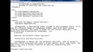 🌍✨ Travel Blog Webpage Using HTML | Project by Nikita Bhagat & Alisa Rava ✨🌍