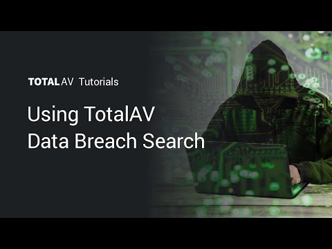 Using TotalAV Data Breach Search