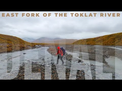 Backpacking OFF TRAIL | Denali National Park | ALASKA | Unit 7 East Fork of the Toklat River